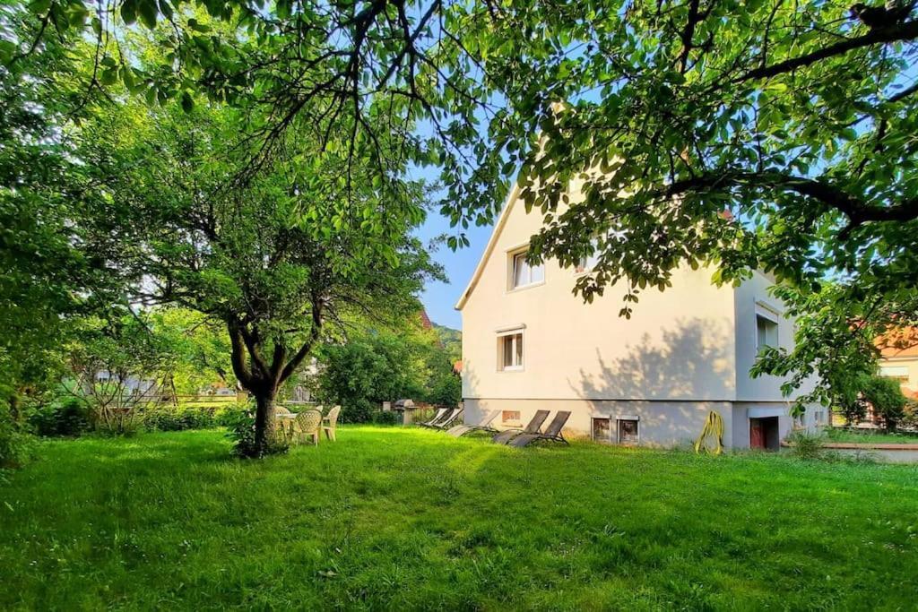 Rooms 4 Persons Kaysersberg Exteriör bild